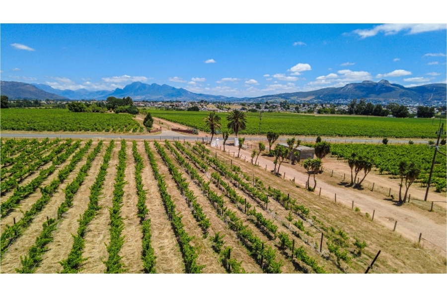 5 Bedroom Property for Sale in Paarl North Western Cape